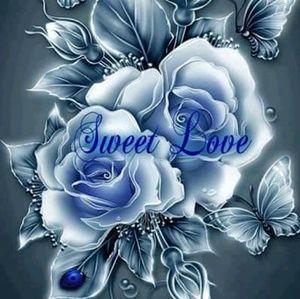 Meet your Posher, Hector